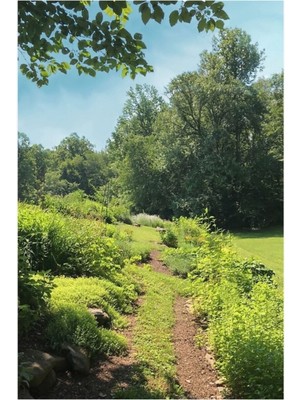 Jeronkarji Herb Garden Path - Tam Sağlık, Aile ve Toplum Için Görüntü Tablo Ahşap Poster Dekoratif