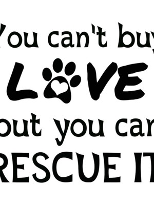 Jeronkarji Aşkı Satın Alamazsın Ama Kurtarabilirsin! Köpek Sevgilisi Gömleği. Tablo Ahşap Poster Dekoratif