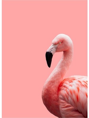 Jeronkarji Pembe Flamingo Tablo Ahşap Poster Dekoratif