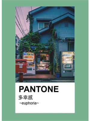 Jeronkarji Pantone Estetiğinin Kopyası Anime Japon Gün Batımı Tablo Ahşap Poster Dekoratif KOD98