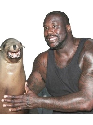 Jeronkarji Shaq ve Deniz Aslanı Tablo Ahşap Poster Dekoratif