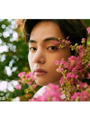 Jeronkarji V (Taehyung) Bilboard Tablo Ahşap Poster Dekoratif KOD2357