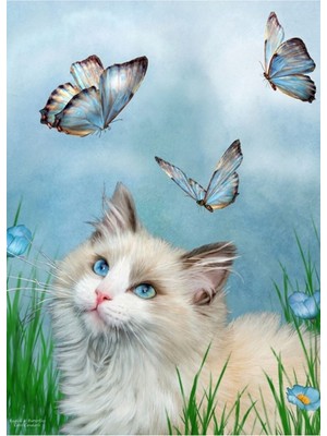 Jeronkarji Ragdoll Kitty ve Kelebekler Tablo Ahşap Poster Dekoratif