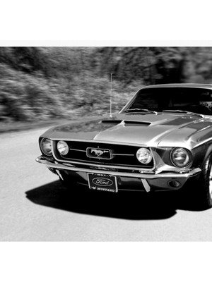 Jeronkarji 1967 Ford Mustang S/b Tablo Ahşap Poster Dekoratif