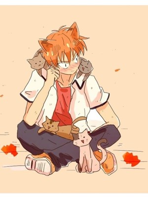 Jeronkarji Kyo Kedileri (Meyve Sepeti) Tablo Ahşap Poster Dekoratif