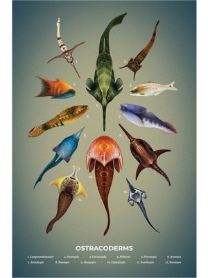 Jeronkarji Ostracoderms Plakası Tablo Ahşap Poster Dekoratif
