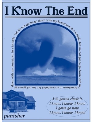 Jeronkarji Sonunu Biliyorum Phoebe Bridgers Tablo Ahşap Poster Dekoratif