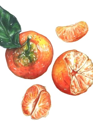 Jeronkarji Tatlı Mandalina Tablo Ahşap Poster Dekoratif