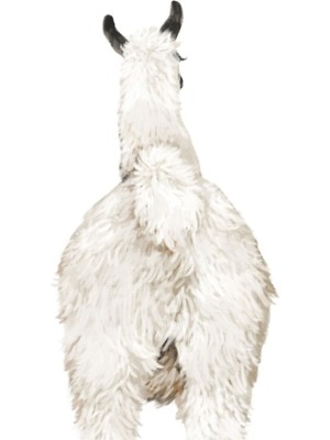 Jeronkarji Lama Popo Tablo Ahşap Poster Dekoratif