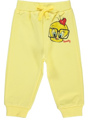 Tweety Kız Bebek Eşofman Altı 6-18 Ay Açık Sarı