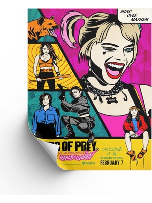 NOKEM Harley Quinn Birds Of Prey Posteri & Yırtıcı Kuşlar Poster & Birds Of Prey Afiş Dcknkm1