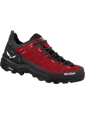 Salewa Alp Traıner 2 Gtx W