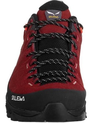 Salewa Alp Traıner 2 Gtx W