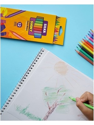 Silka Kuru Boya Shıny Tam Boy 12 Li