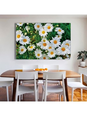 Zevahir Mobilya Dekorasyon Mevsim Papatyası Ahşap Şase Dijital Baskı Kanvas Tablo 80 x 120 cm