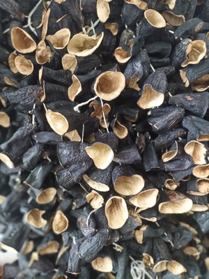 Sarıcaovadan Dolmalık Patlıcan Kurusu Burun Dizi Güneş Kurusu 42 - 44 Adet Yeni Sezon