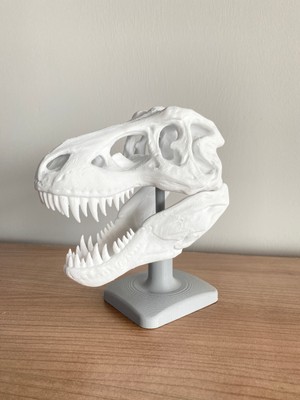 Root Made T-Rex Kafatası Tiranozor Büst Dekoratif Dinozor Stand Tyrannosaurus Dekoratif Obje