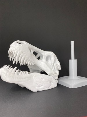 Root Made T-Rex Kafatası Tiranozor Büst Dekoratif Dinozor Stand Tyrannosaurus Dekoratif Obje