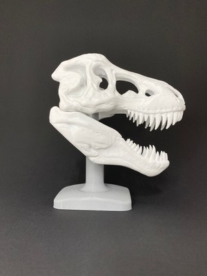 Root Made T-Rex Kafatası Tiranozor Büst Dekoratif Dinozor Stand Tyrannosaurus Dekoratif Obje