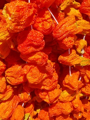 Sarıcaovadan Tatlı Dolmalık Kuru Biber Dizi Dolma Biber Kurusu Güneş Kurusu