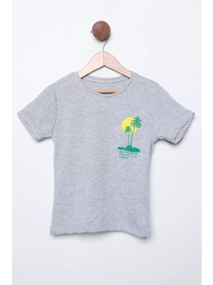 Julude Gri Erkek Çocuk Baskılı Bisiklet Yaka Tişört P-00011568