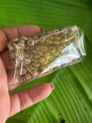 Gönülden Tasarım 05 cm 20 gr Delikli Ahşap Takı Boncuğu