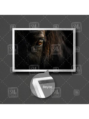 SML Tablo Yakın Çekim At Gözü Hayvan Çerçeveli Yatay Kanvas Tablo