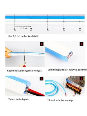 Cata Neon LED  5metre (Mor) LED Zincir Bandı Hortum Esnek Dekoratif Aydınlatma Işık 12V 10W (1. Gen.)