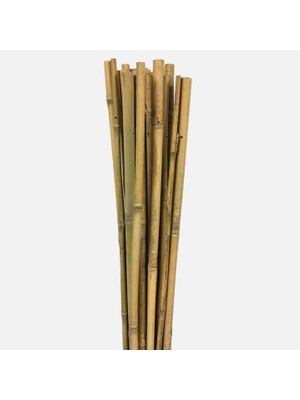 Fidan Sepetim Fidan Dikim Destek Çubuğu 50 Adet (150cm)