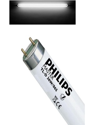 Philips Master Tl-D 36W/865 T8 Floresan Lamba Beyaz 3 Adet 120 cm Floresan Armatür