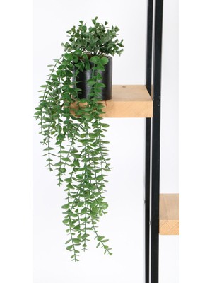 Refox Yapay Çiçek Sarkıt Okaliptüs Beton Saksılı 60 cm