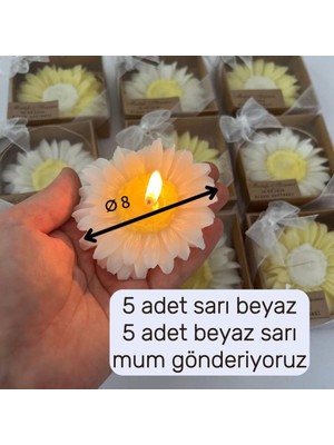 Love Candle Dekor Nişan Hediyelik, 10 Adet Çiçek Mum, Papatya Mum, Hediyelik Mum, Doğum Günü Hediyelik, Söz Hediyelik