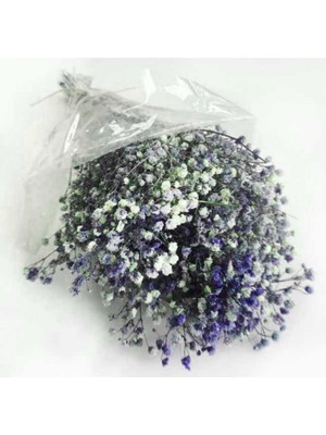 Hayaller Dükkanı Çiçek Doğal Cipso Pk:50 gr Lacivert