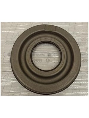 Caterpillar Şanzuman Pistonu 305-3431