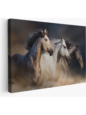 Acoula   Koşan Atlar Dekoratif Kanvas Tablo -1129