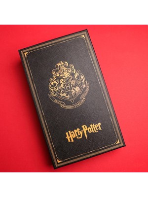 Keyfim Shop Harry Potter Divit Tüylü Figür Anahatarlı Hediyelik Kalem Seti