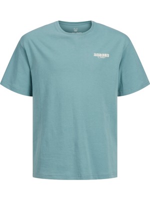 Jack & Jones Jjstyd Loose Graphıc Tee Ss Cneck Ln Jnr Çocuk Mavi Tshirt 12270140-07