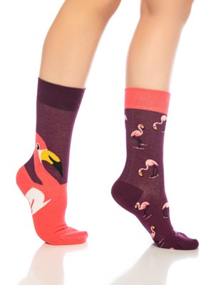 Dayco Unisex Bordo Flamingo Renkli Çorap