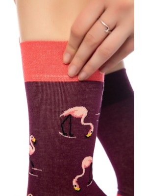 Dayco Unisex Bordo Flamingo Renkli Çorap