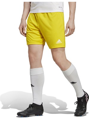 Adidas ENT22 Sho Erkek Futbol Şortu IC7404 Sarı