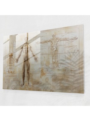 Painted Anarchy Leonardo Da Vinci Glass Print: Human Proportions Study - Leonardo Da Vinci, Leonardo Da Vinci, Home Decoration, Glass Art, 35X25