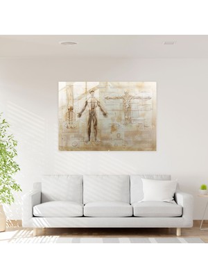 Painted Anarchy Leonardo Da Vinci Glass Print: Human Proportions Study - Leonardo Da Vinci, Leonardo Da Vinci, Home Decoration, Glass Art, 35X25