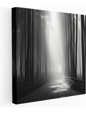 Painted Anarchy Asya Kanvas Tablo - Minimalist Siyah Beyaz Fotoğraf - Bambu Ormanı, Duvar Sanatı - Asya, Kanvas Tablo, Minimalist Siyah Beyaz Fotoğraf, Kanvas Tablo, 30X30