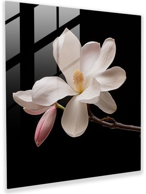 Painted Anarchy Manolya Minimalizm Cam Baskı - Manolya, Yakın Çekim, Ev Dekorasyonu, Cam Duvar Sanatı, 30X30