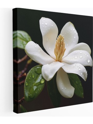 Painted Anarchy Saflık Manolya Kanvas Tablo - Yakın Çekim Duvar Tablosu - Manolya, Manolya, Saflık, Ev Dekorasyonu, 30X30