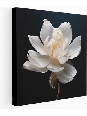 Painted Anarchy Manolya Duvar Sanatı: Gerçekçi Fotoğraf - Manolya, Kanvas Tablo, Manolya, Kanvas Tablo, 30X30