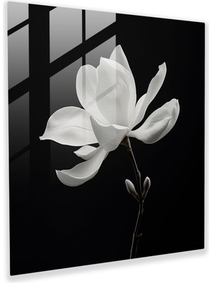 Painted Anarchy Minimal Manolya Cam Baskı - Manolya, Manolya, Minimalist Tasarım, Cam Sanatı, 30X30