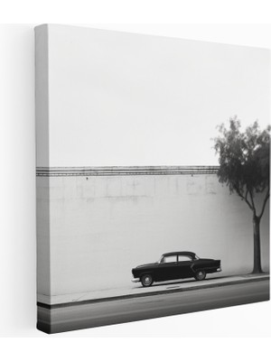 Painted Anarchy Eski Model Araba Kanvas Tablo, 30X30