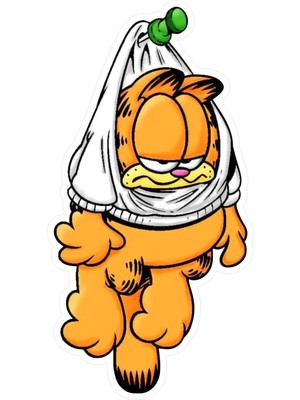 Quart Aksesuar 12 x 6 cm Garfield Sticker Motor Araba Kask Laptop Sticker