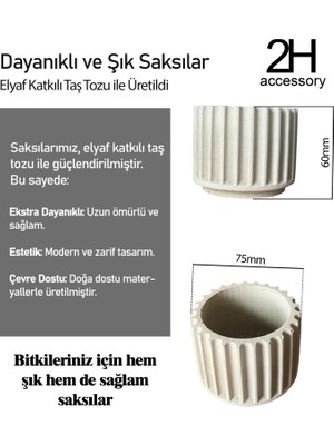 2h Modern Dekoratif Sukulent Saksı (3adet)